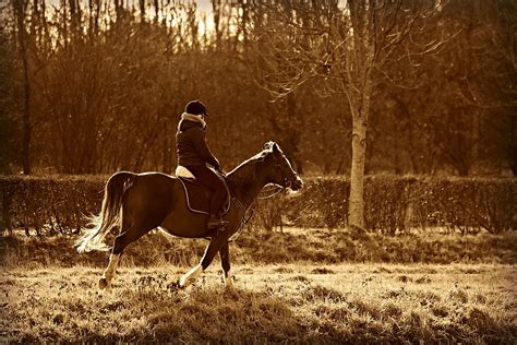 Horse Rider Riding Free Photo On Pixabay