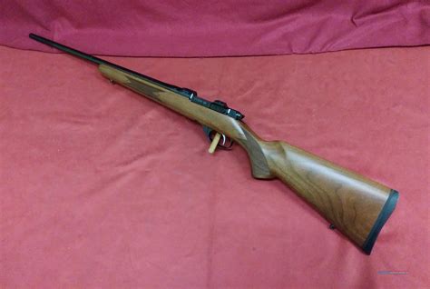 Cz 527 204 Ruger For Sale At 950936942