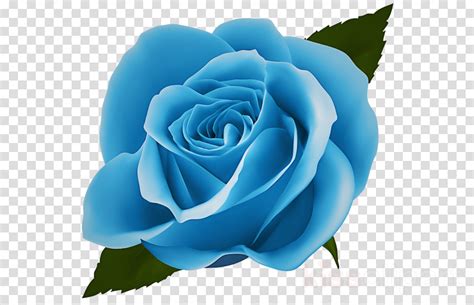 Free Blue Rose Cliparts Download Free Blue Rose Cliparts Png Images
