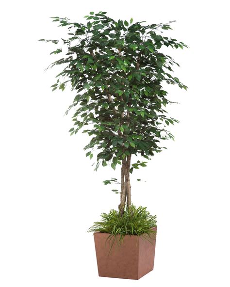 1 Result Images Of Artificial Plants Png Png Image Collection