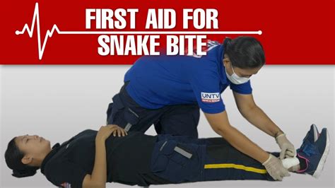How To Treat Or Give First Aid To A Snake Bite Lifesaver Firstaid Youtube