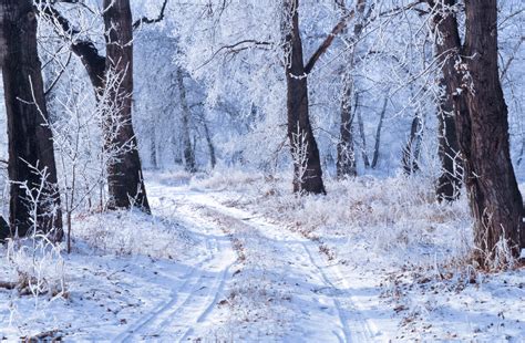 Winter Landscape Kostenloses Stock Bild Public Domain Pictures