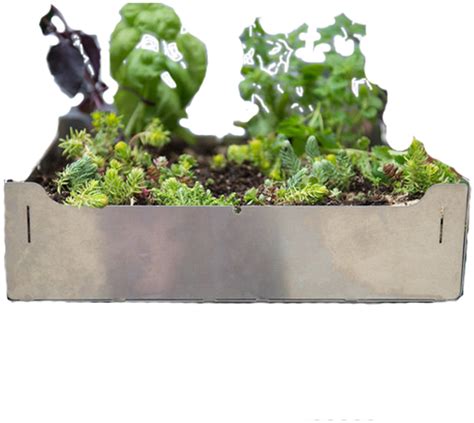 Download A Planter With Plants Growing Out Of It 100 Free Fastpng