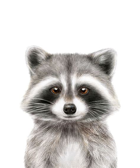 Raccoon Print Woodland Baby Animals Nursery Animal Print