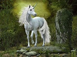 Real Unicorn Wallpapers - Top Free Real Unicorn Backgrounds ...