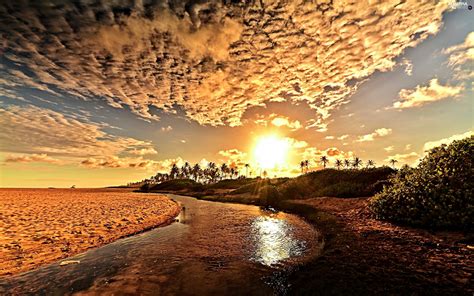 River Dawn Desert Sky Palms Clouds Amazing Sunsets Sunset River
