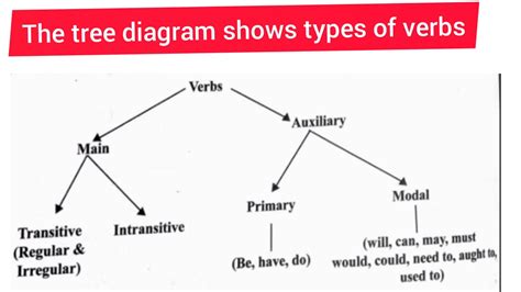 The Tree Diagram Shows Types Of Verbs Youtube