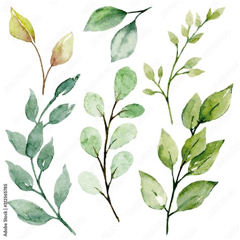 Leaves Watercolor Set Hand Painting Floral Illustration Green Leaf
