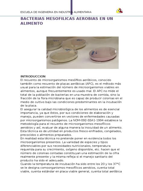 Bacterias Mesofilicas Aerobias En Un Alimento Microorganism