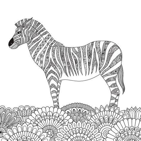Zoo Animal Coloring Page Stock Photos Pictures And Royalty Free Images