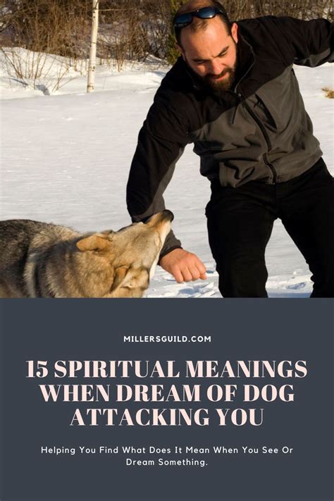 15 Spiritual Meanings When Dream Of Dog Attacking You