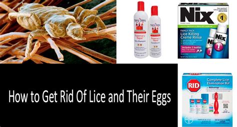 How To Get Rid Of Lice Best Proven Ways And Products In 2020