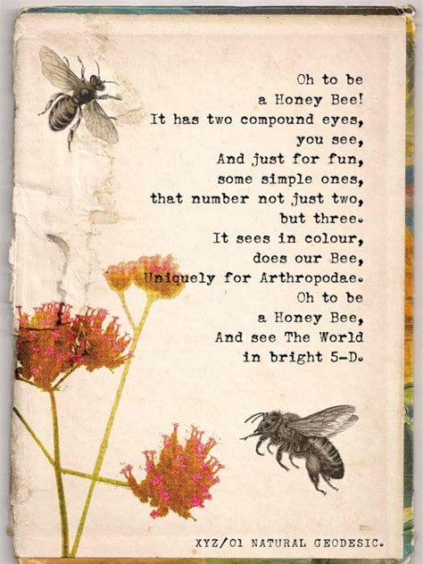 12 Beautifully Illustrated Poems Celebrating Science And Nature Bee
