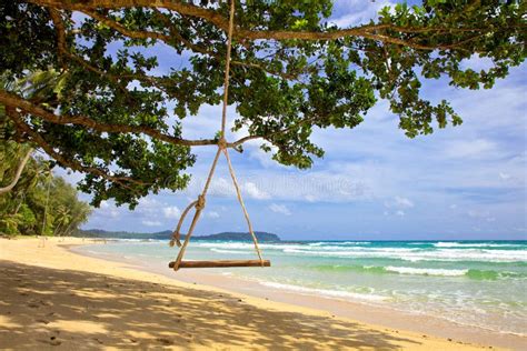 Swing Hang From A Tree Over Beach Phuket Thailand Stock Image