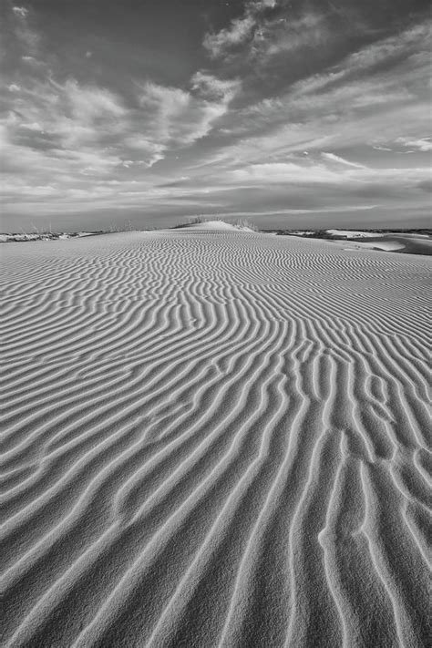 Texas Sand Dunes Black And White 2 Photograph By Rob Greebon Fine Art