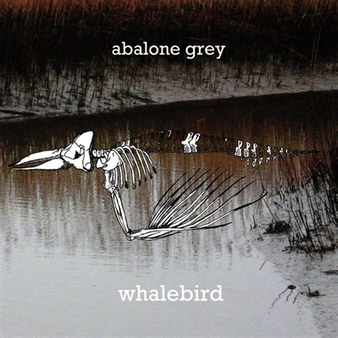 Whalebird Album By Abalone Grey Spotify