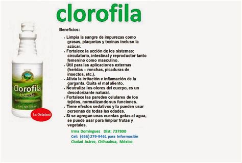 HABLEMOS DE SALUD Propiedades Y Beneficios De La Clorofila