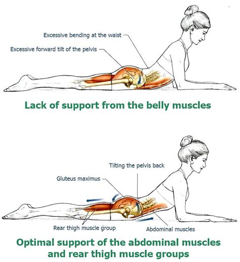 Heat or cold packs may reduce swelling for lower back injuries. Upper Back Stretches - Develop Perfect Posture and Relieve ...