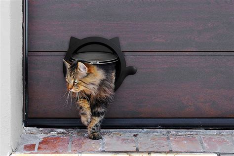Keep Your Cats Safe With These Outdoor Cat Doors