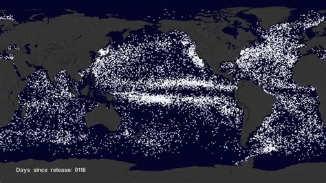 Pacific Garbage Patch Satellite Image