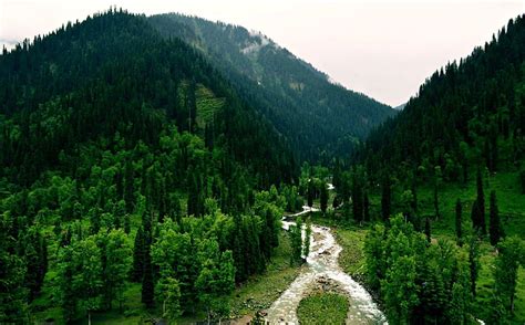 Hd Wallpaper Earth Forest Kashmir Landscape Nature Pakistan