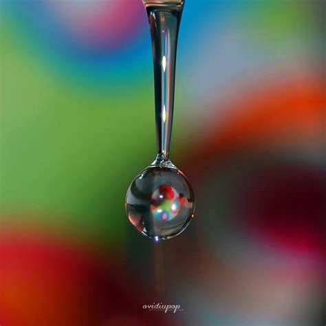 Macro Photography Water Drops Creativeoverflow