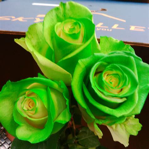 Bright Green Roses For Your Garden