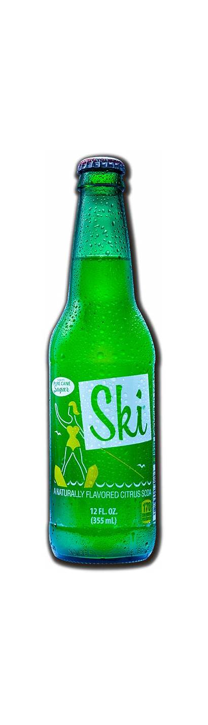 Excel Ski Soda Frostie Root Beer