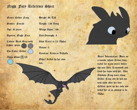 As the village of berk prepares for its winter holiday, the resident dragons all inexplicably fly away. LIMITED!!! Night Fury Ref Sheets. | School of Dragons ...
