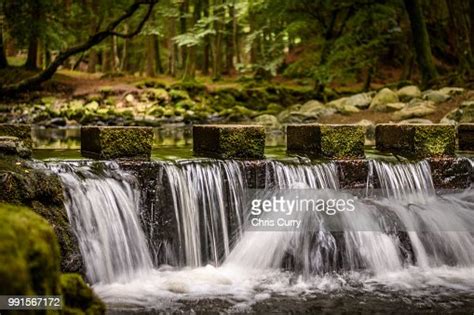 Ireland Stepping Stones Tollymore Forest High Res Stock Photo Getty