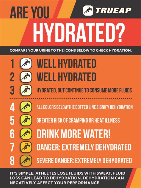 Are You Hydrated Trueap Athletic Performance Training