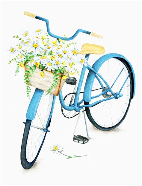 Watercolor Bicycle Flowersbasketsummerillustration White Background