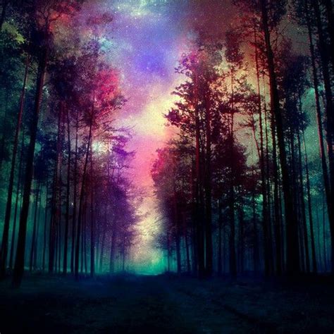 Rainbow Forest Scenery Nature Magical Forest