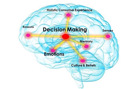 Decision Making Process What Happens To The Brain When We Make