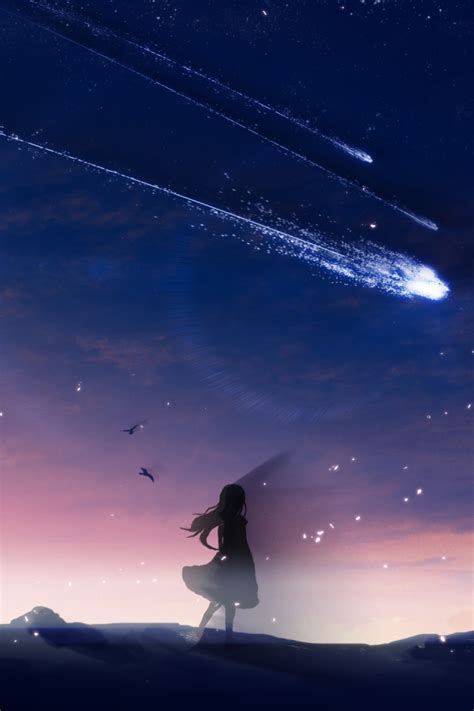 Wallpaper Sky Landscape Falling Stars Anime Girl Birds Scenic