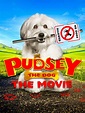 Watch Pudsey The Dog: The Movie | Prime Video