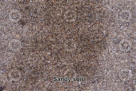 Sandy Soil Types Of Soil Structure Types Of Soil Structure Rocks