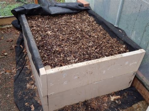 Outdoor Worm Bins For High Quality Compost