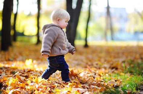 Niño Caminando En El Parque En El Otoño Niño Disfruta De Un Día