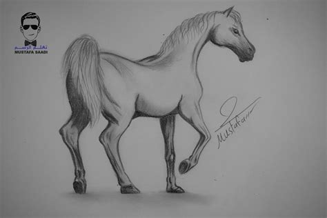رسم حصان بالفحم ايميجز