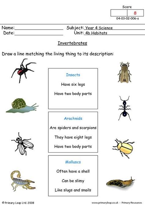 Invertebrates 1 Worksheet Biology Worksheet Free Worksheets For Kids