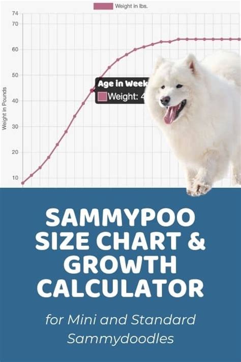Westiepoo Size Chart Interactive Weight Calculator Doodle Doods