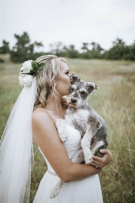 Bride And Dog Wedding Photo Ideas Emmalovesweddings