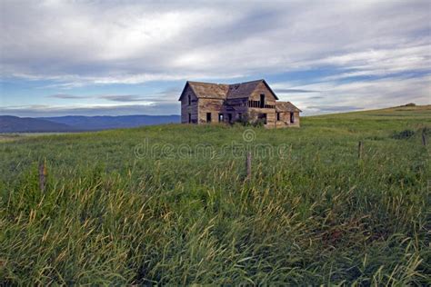 A Little Of Montana History Abandoned Homestead Stock Photo Image