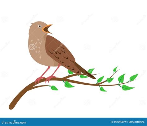 Singing Nightingale Bird Sitting On Tree Brunch Stock Vector
