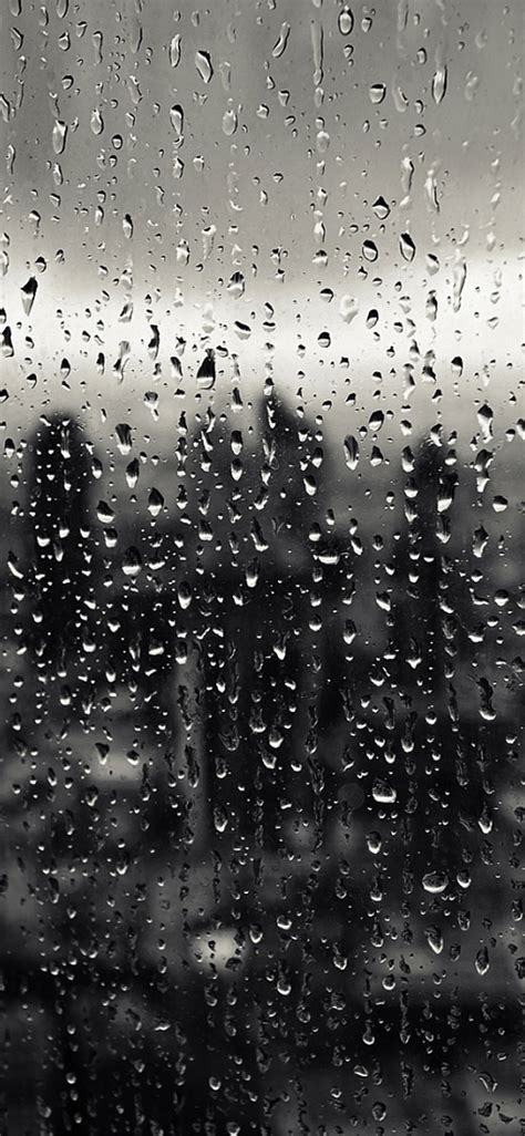 Rain Iphone Wallpaper