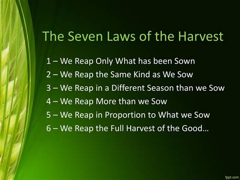 Laws Of The Harvest Community Life Church