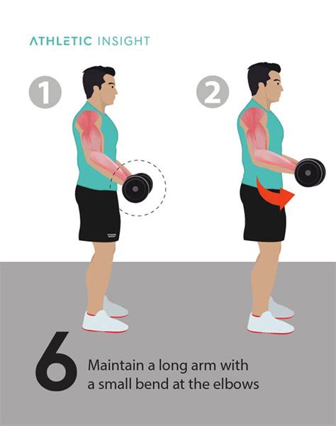 How To Do Dumbbell Curl Variations Proper Form Techniques Dumbbell