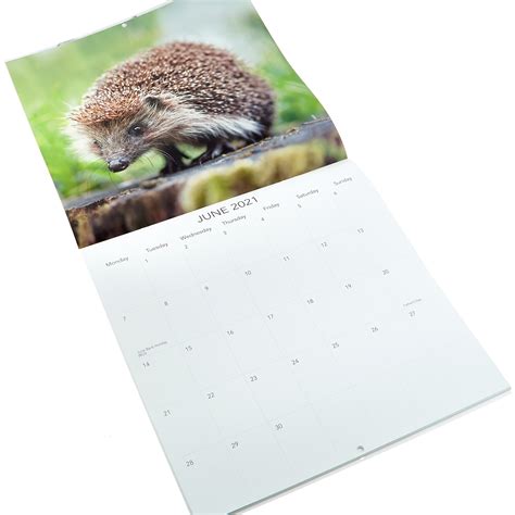 Buy Wildlife 2021 Calendar For Gbp 199 Card Factory Uk