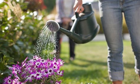 Flushing The Loo To Gardening How To Save Water Around The Home Water The Guardian